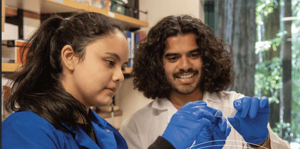 Screen shot 2024 11 13 at 12.37.20 pm.png