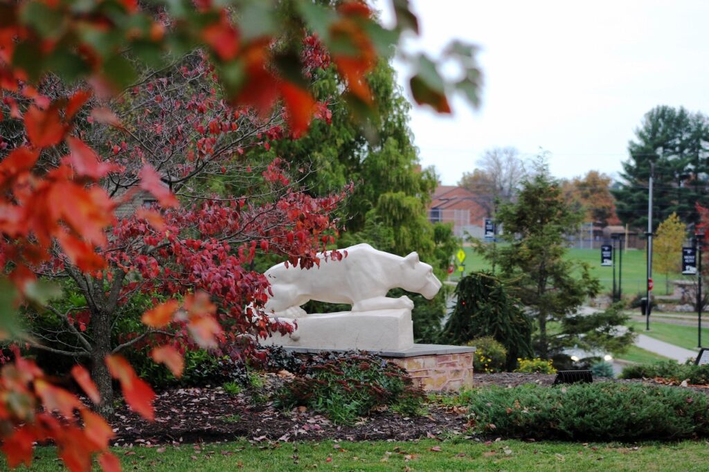 As Penn State rolls back its campuses: What’s next? Vdxwu7b64jcsfa4feq4lvtwhv4.jpg