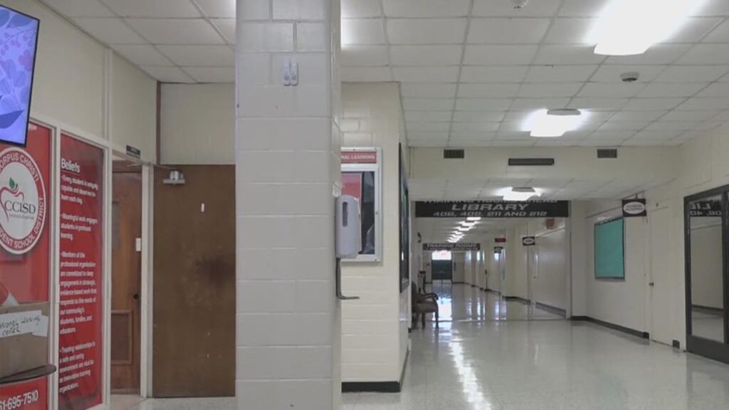 State looks to break up STAAR exam into 3 different testing times Cb7b909e 789c 4f76 8a81 f3fc91a373ed 1140x641.jpg