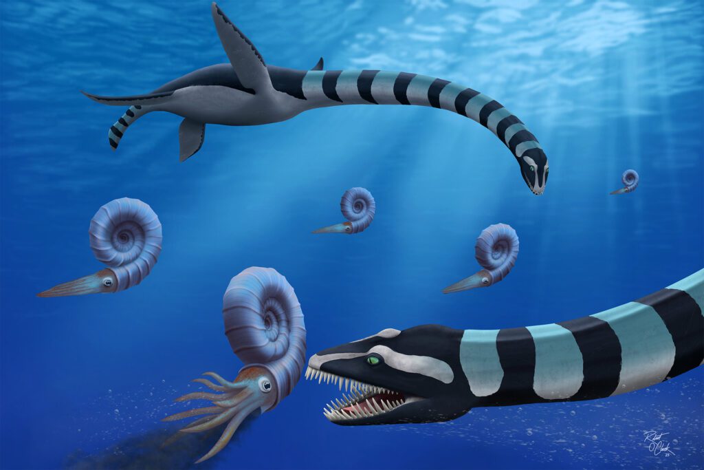 One of North America’s most famous fossils identified as new species Mystery of very odd el 6.jpg