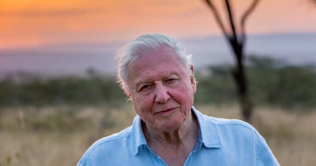 David Attenborough Just Turned 99. These Are the 5 Lifestyle Habits He Shares With the World’s Longest-Living People Our planet 01 gq 1apr19 b.webp.jpeg