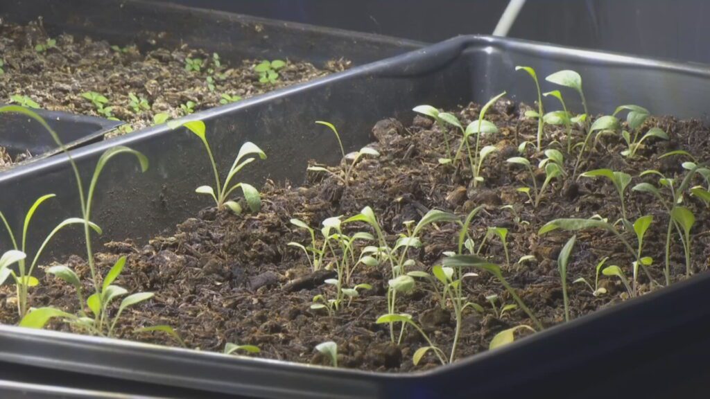 Thumbnail 20250512125651777.jpeg