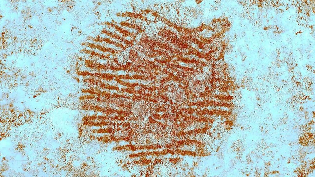 060425 jb fingerprint main.jpg