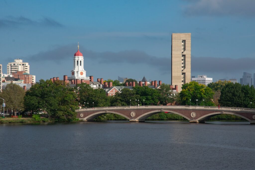 234531 1379596.jpg.2000x1333 q95 crop smart upscale.jpg