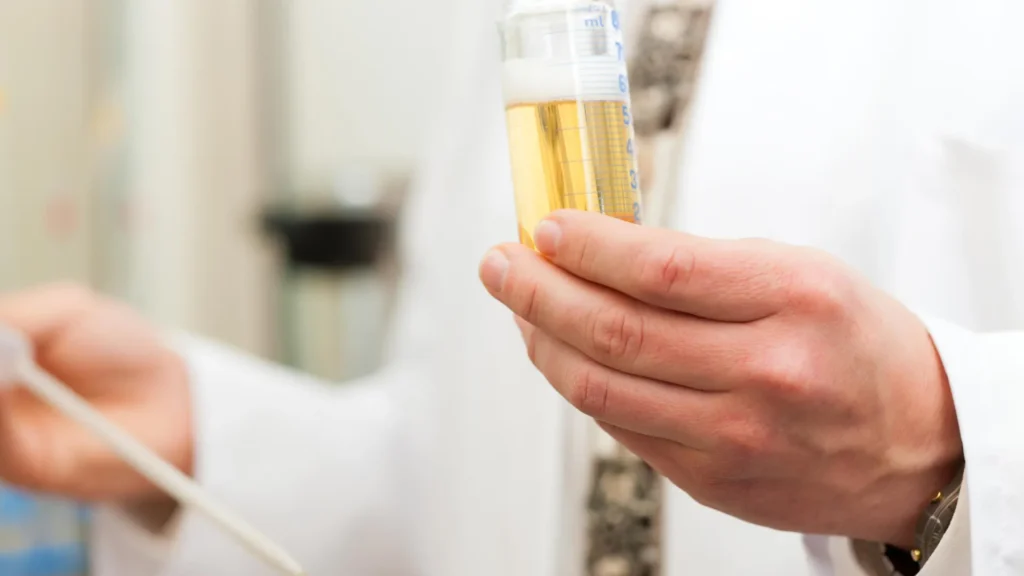 Brewery laboratory.webp.webp