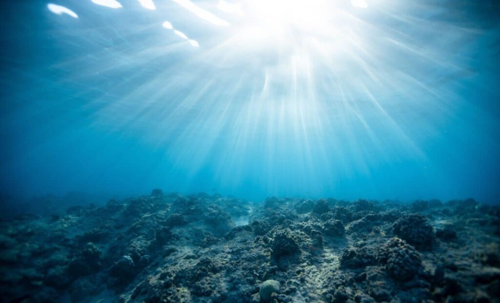 Study warns carbon dioxide removal methods could trigger ocean oxygen crisis 1200x727.jpg