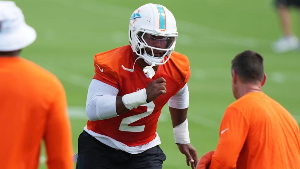 Dolphins ‘were lying’ about culture change last year Tyhzjyttkjdoiu9tywm6.jpeg