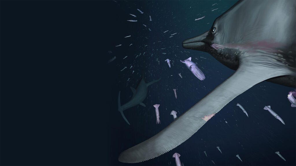 How an ancient marine predator snuck up on its prey 071625 cg flipper feat.jpg