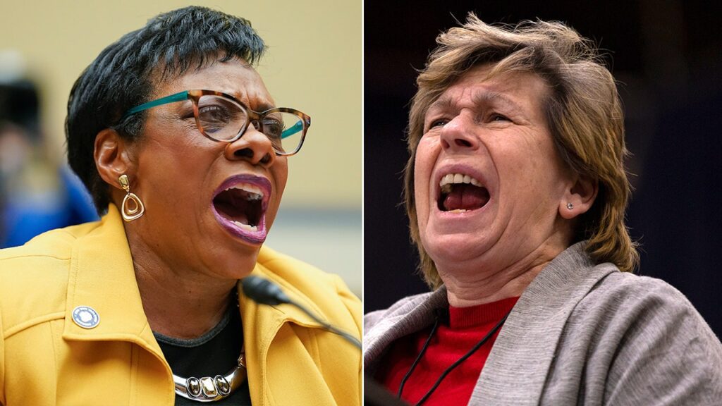 Teachers union leaders split on SCOTUS ruling about LGBTQ books in schools 2e44cd07 unionbosses.jpg