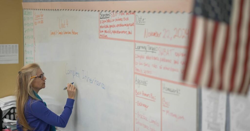 6874fc95c5b53.image .jpg