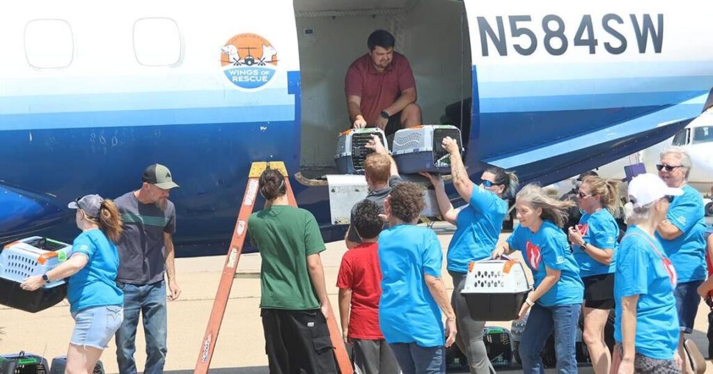 687c76bee3fc3.image .jpg