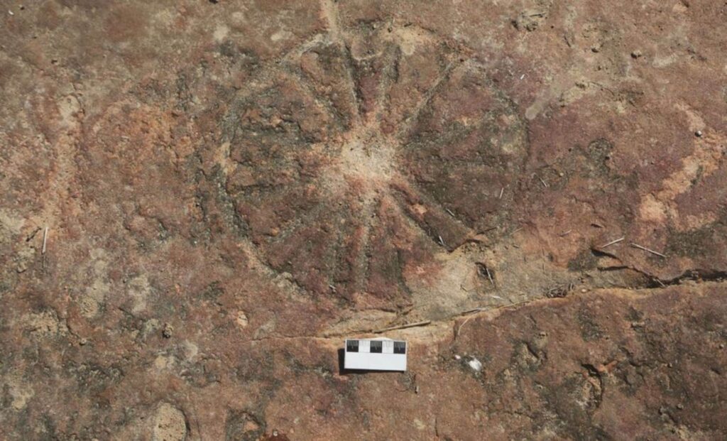 9,000-Year-Old Drawings Found Next to Dinosaur Footprints in Brazil 9000 year old drawings found next to dinosaur footprints in brazil.jpg