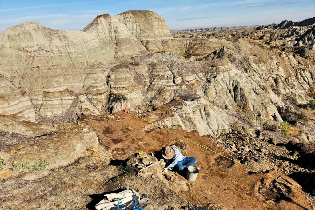 Dinosaur hunters make “chilling” discovery deep in Canadian badlands Skyline tracksite 1.jpeg