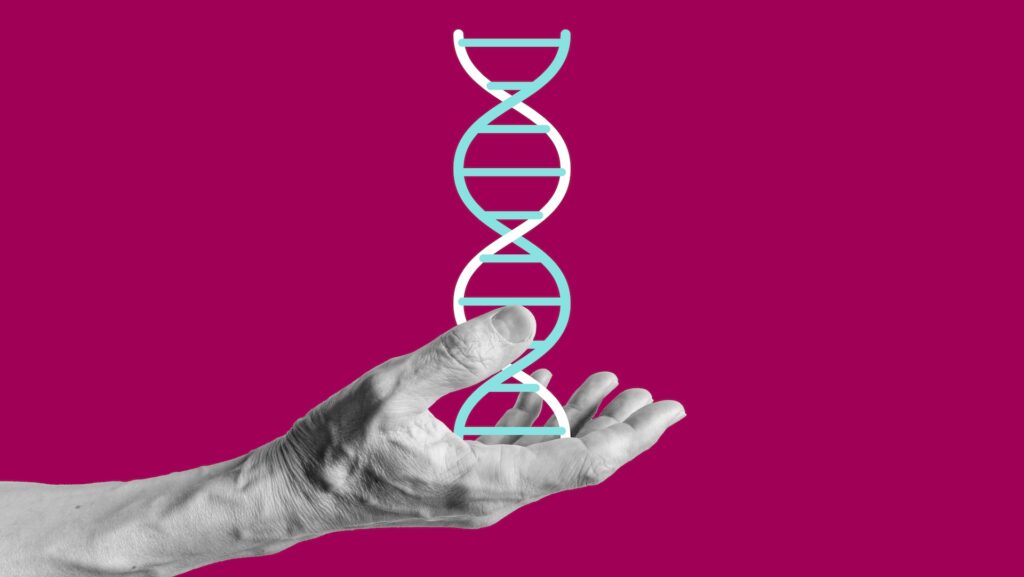 Best-ever map of the human genome reveals ‘hidden’ regions of DNA Wkwafwcxlwxyzzyjrprfdw.jpg