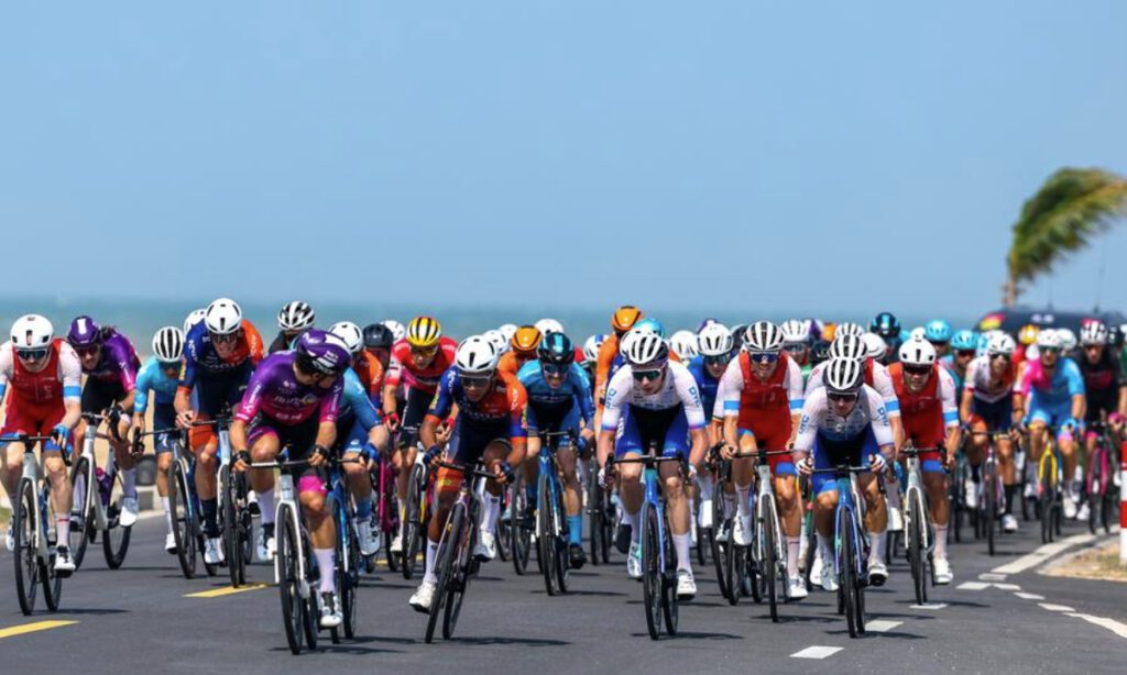 Dc34fcbc 83d9 4535 9d53 f5b933153392.jpeg