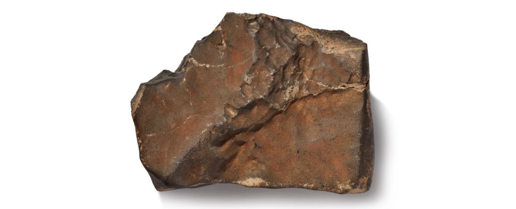 Largest Mars Rock Exceeds Auction Expectations : ScienceAlert Mars rock sothebys 1.jpg