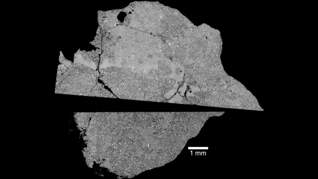 Northwest africa 16286 meteorite.webp.webp