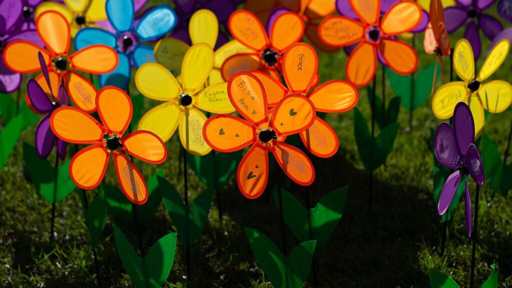 Addressing Alzheimer’s disease with diet and lifestyle changes 011e101a cd62 4d84 8059 fe4147d24c48 the promise garden is planted in honor of participants loved on.jpeg