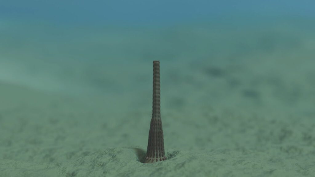 072825 no fossils social1.jpg