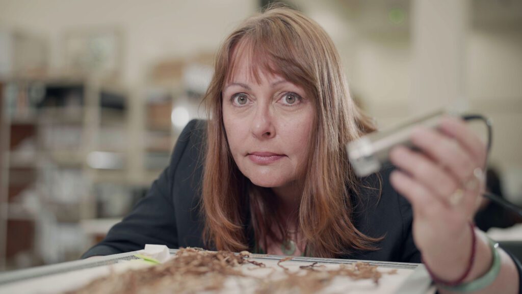 A 104-centimeter-long hair could rewrite recordkeeping in Inca society 081325 jb incaknots main.jpg