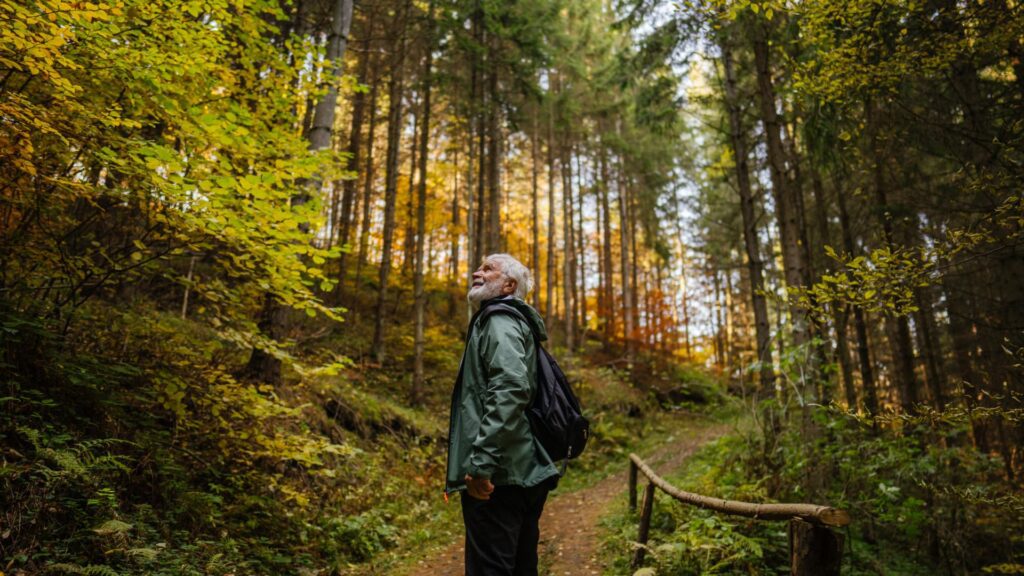 108190480 1756154347268 gettyimages 1426180794.jpg