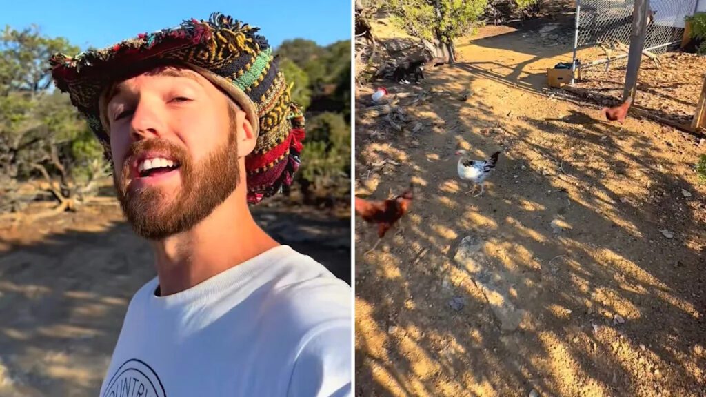 ‘That is kind of the point’ 11eb054507331fcb616a6790b45c3a20.jpeg