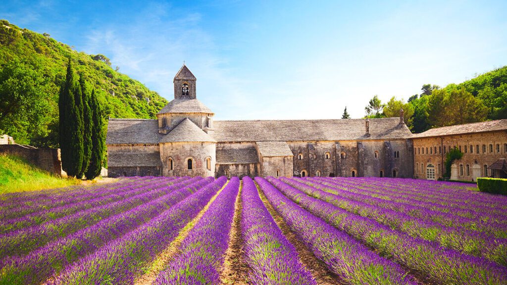 Provence is not just a destination. It is a lifestyle brand 20250809 cup003.jpg