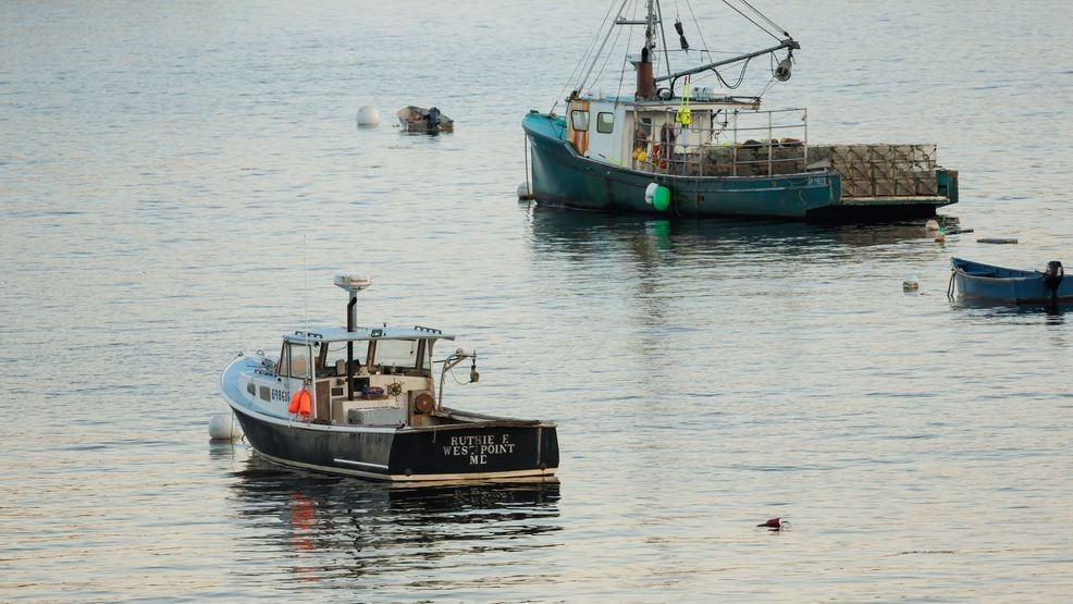 WGMEMyMaine Media celebrates Maine's modern lifestyleIn this segment, executive director Karen Middleton and editorial director Maggie Knowles tell us more about what readers will find..1 day ago 2dbf7042 a70d 4201 9f51 961235b96927 cama2742.jpg