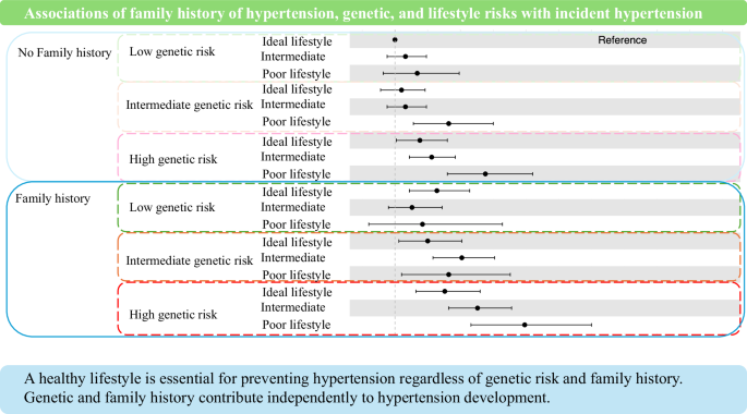 NatureAssociations of family history of hypertension, genetic, and lifestyle risks with incident hypertensionFamily history of hypertension may reflect genetic and lifestyle factors. Genetic risk can be assessed using polygenic risk score (PRS);….20 hours ago 41440 2025 2314 figa html.png