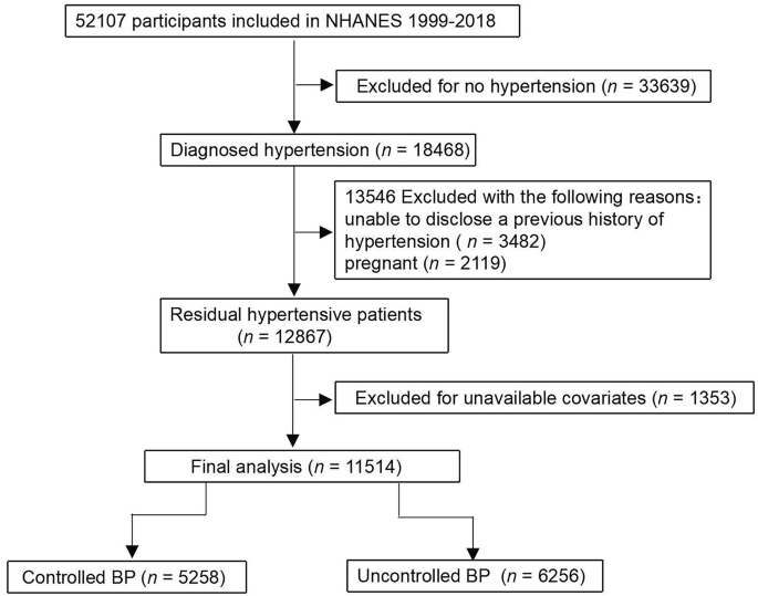 Bridging gaps in risk factor control and adherence to recommended lifestyle among Non-Elderly hypertensive patients 41598 2025 15136 fig1 html.png