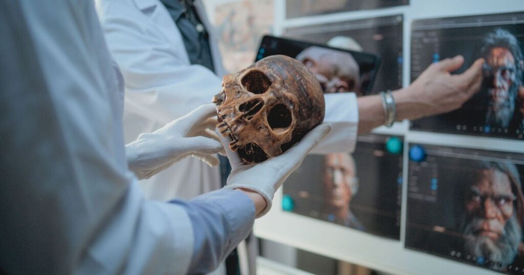 Study reveals groundbreaking information about Neanderthals and humans – Science – News 418985.jpg