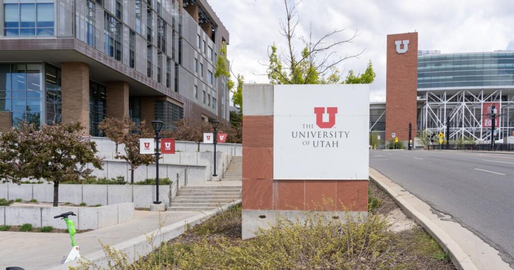 6893a454e4852.image .jpg