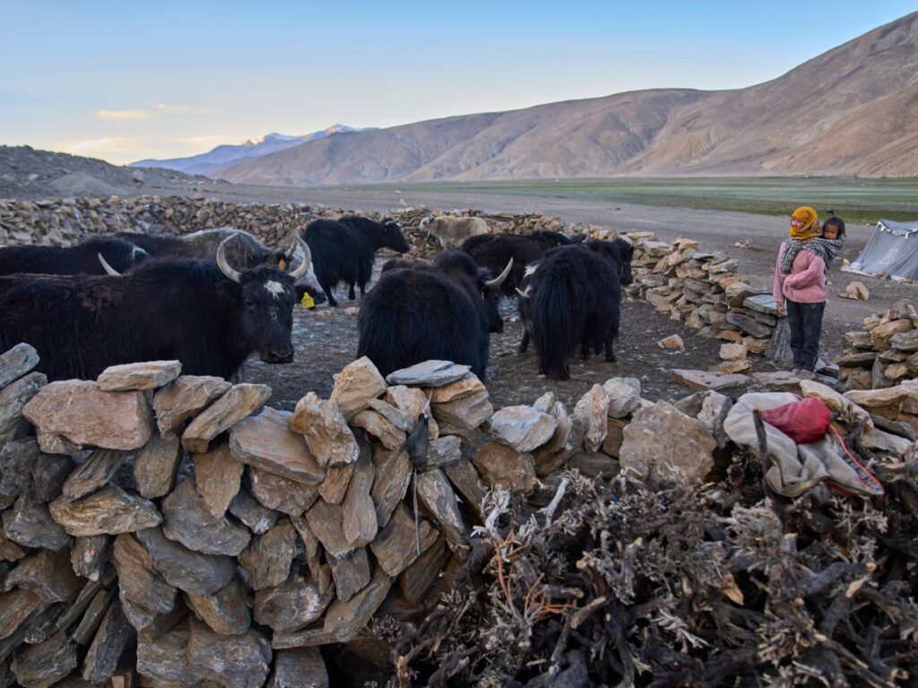 Ap25210697350537 1754051270.jpg