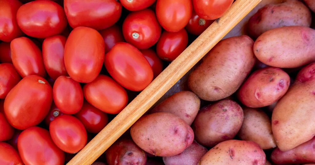 Gettyimages 1353271240.jpg