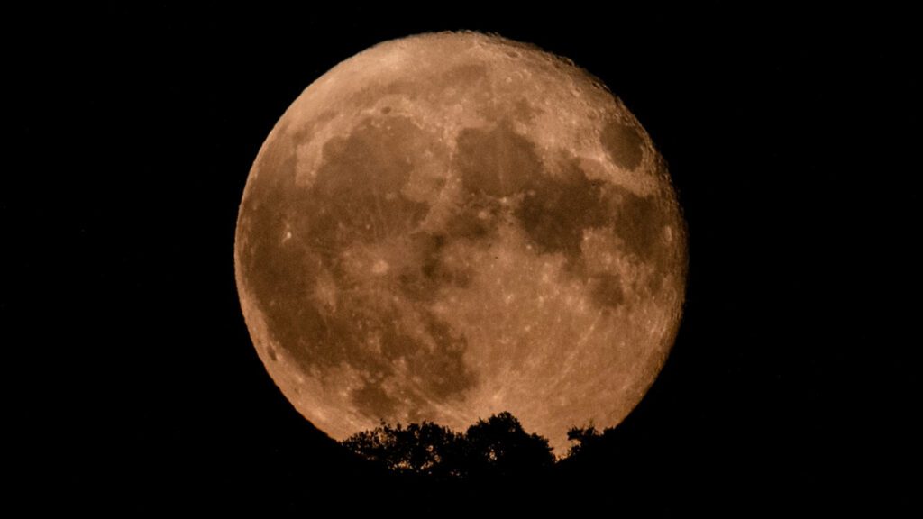 August full moon 2025 rises this weekend: Here’s how to see the stunning ‘Sturgeon Moon’ Mvqmauboypcepseedk8bpj.jpg