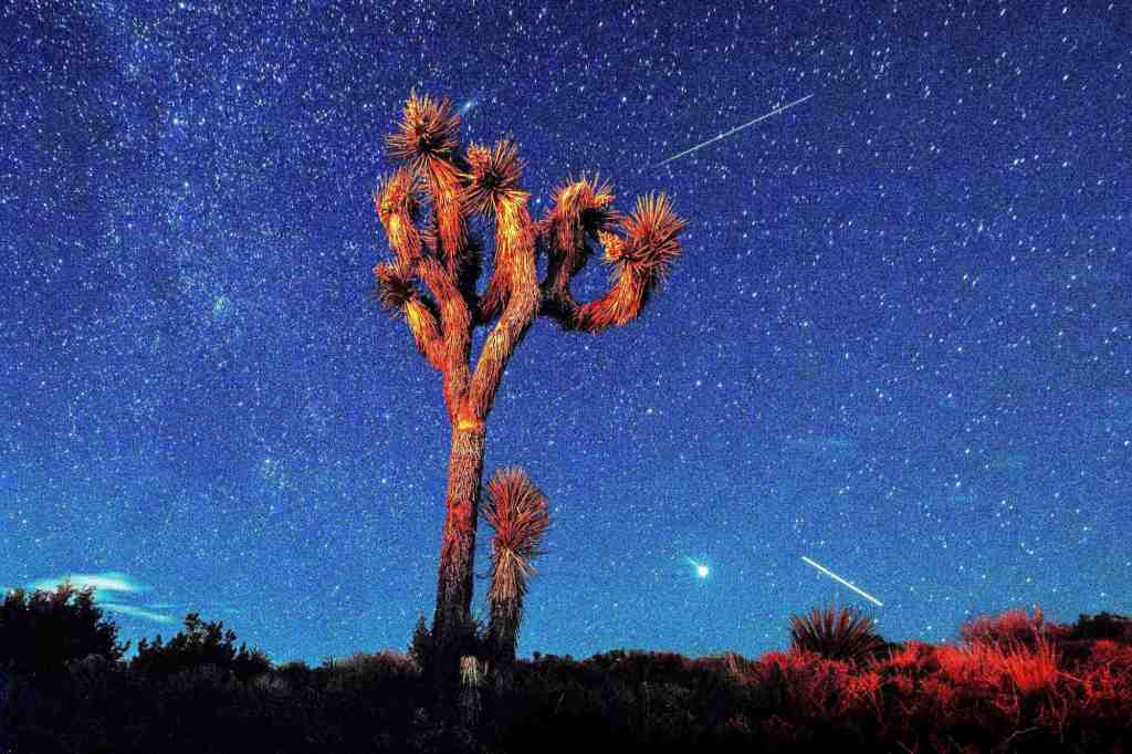 Now’s the time to watch the Perseid meteor shower from East County – San Diego Union-Tribune Ocr l nationalparksair 0309 03 wp.jpg