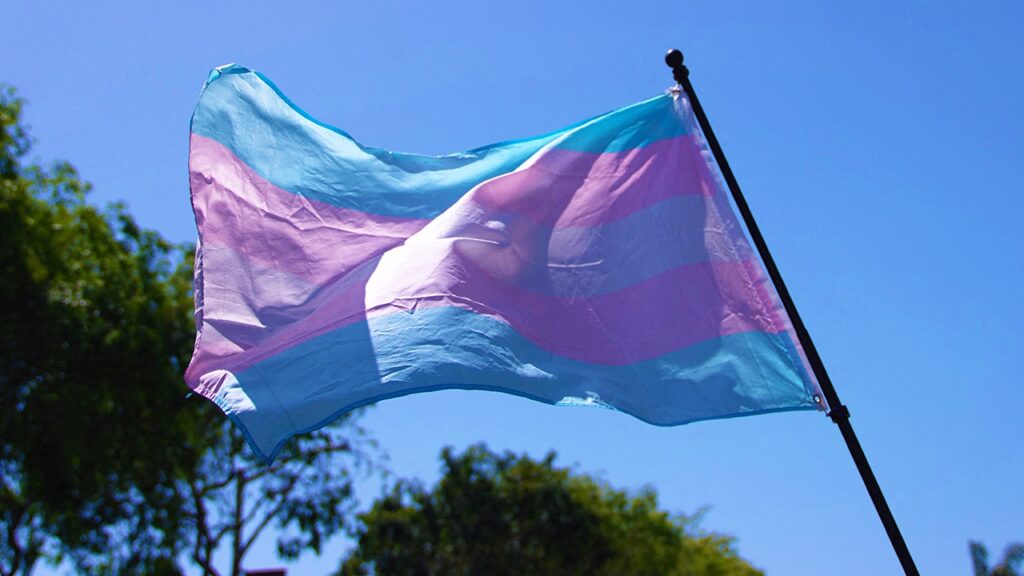 Transgender flag.jpg