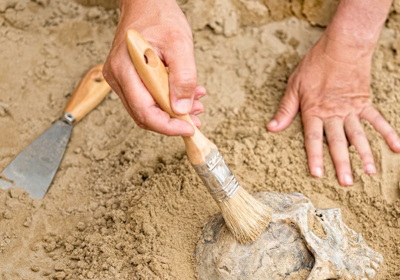 Ancient Dental Plaque Unearths Prehistoric People’s Lifestyle Ancientmicrobiome 800x560 m.jpg