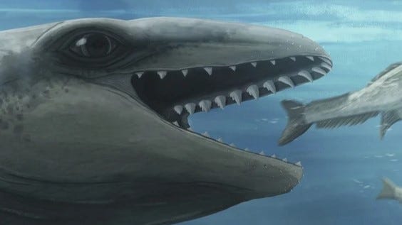 Scientists Discover ‘Deceptively Cute’ Prehistoric Species That Looked Like a Pokémon Australia prehistoric whale 298134545 e1755256162696 1755274759948.jpg