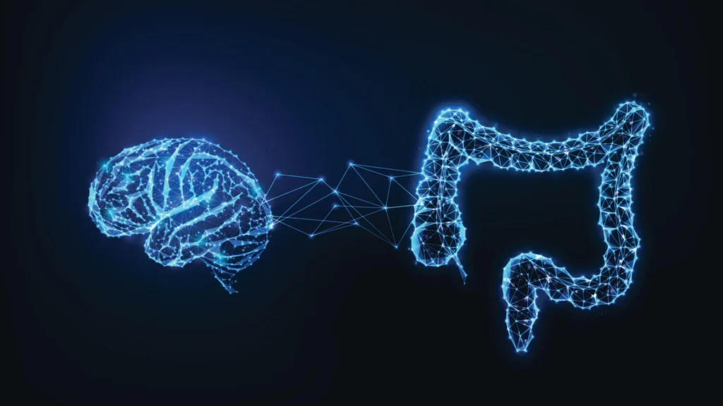 Brain gut connection.webp.webp