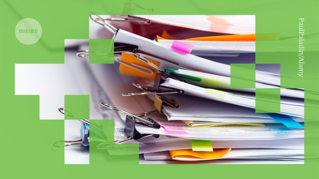 D41586 025 02782 6 51392510.jpg