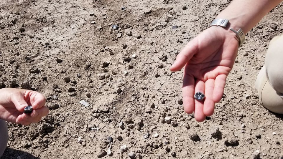 Fossils show two types of ancient human ancestors lived at the same place and time. One was possibly an unknown species Ed0f74dff4912020da42aac2b88eb608.jpeg