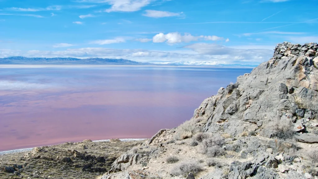 Scientists reveal how just two human decisions rewired the Great Salt Lake forever Gunnison island.webp.webp