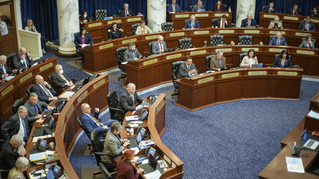 Idaho spends, then loses, millions for a stalled data upgrade House floor 03 18 2022.png
