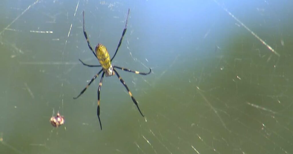 Https3a2f2fcloudfront us east 1.images.arcpublishing.com2fcmg2fn2xgeetupndsnoiu3sjbeik6y4.jpg