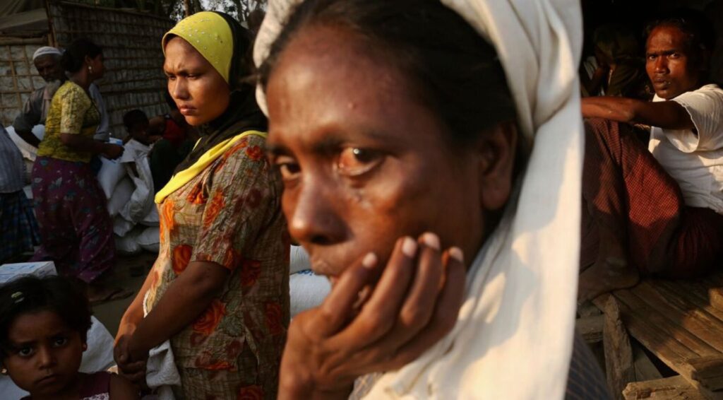 Image 1756235959.jpg