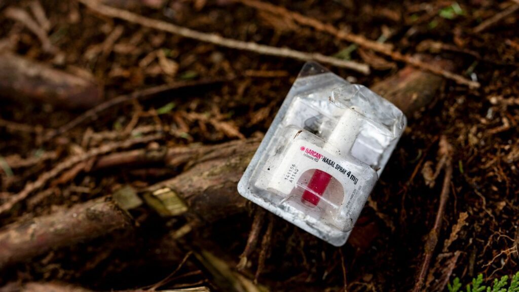 Opioid overdose decline ap 24317842916255.jpeg