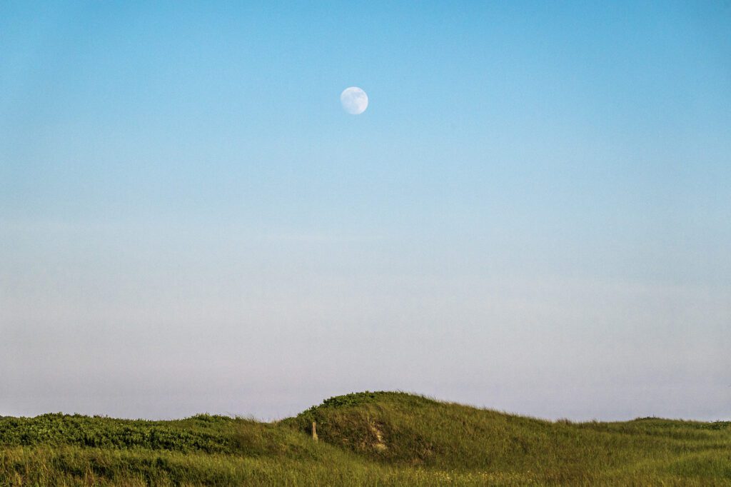 Re 6 19 24 wild art dsc9096.jpg