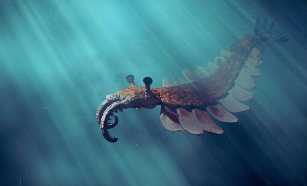 Scientists reveal how rising ocean oxygen created new marine habitats and triggered evolution.jpg