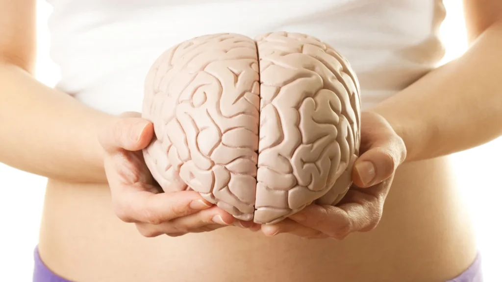 Scientists uncover hidden brain shortcut to weight loss without the nausea Woman holding brain model.webp.webp